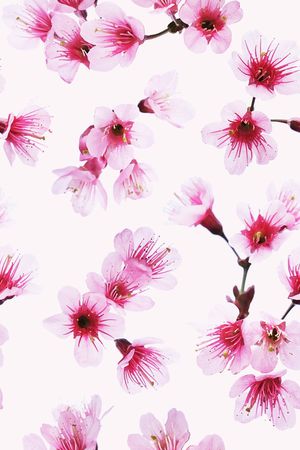 樱花印花华亿平台图片