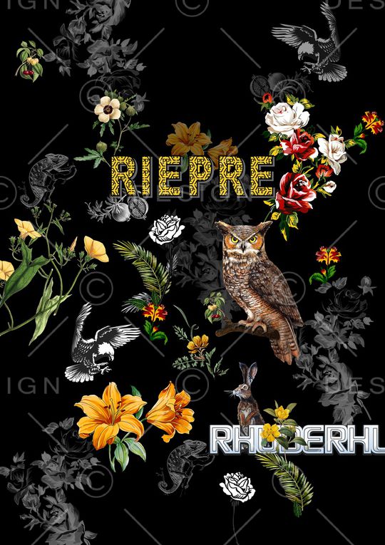 猫头鹰印花华亿平台图片