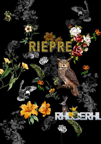 猫头鹰印花华亿平台图片