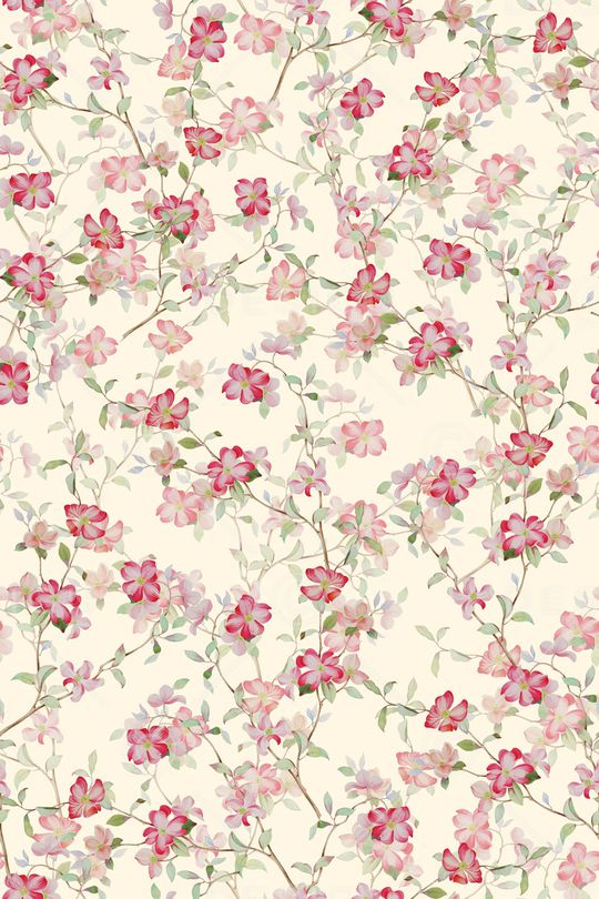 女装印花华亿平台图片