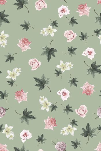 1530143-花卉20172-4