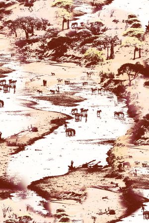 女装印花华亿平台图片