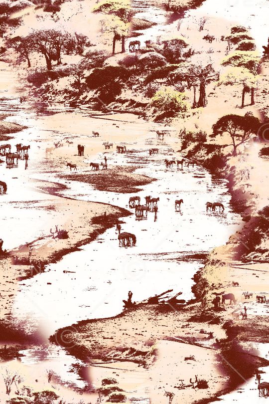 女装印花华亿平台图片