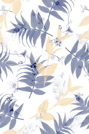 女装印花华亿平台图片