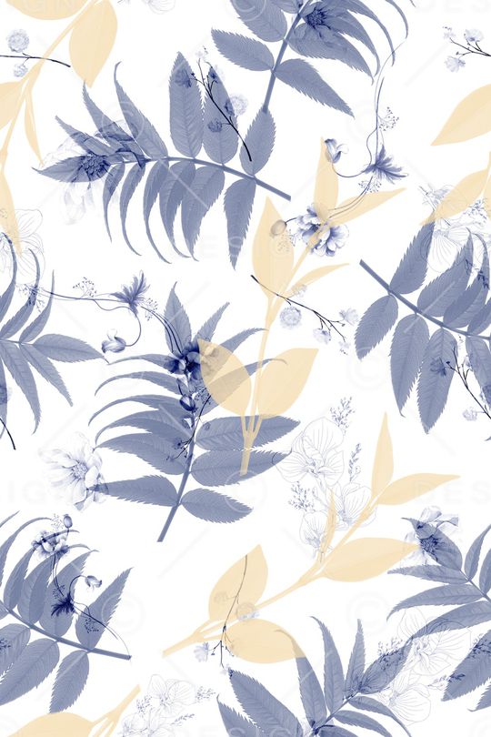 女装印花华亿平台图片