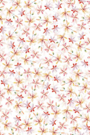 女装印花华亿平台图片