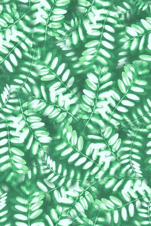 植物印花华亿平台图片