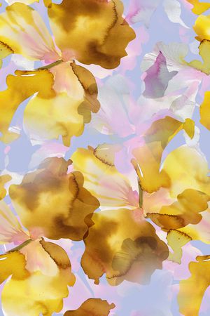 女装印花华亿平台图片