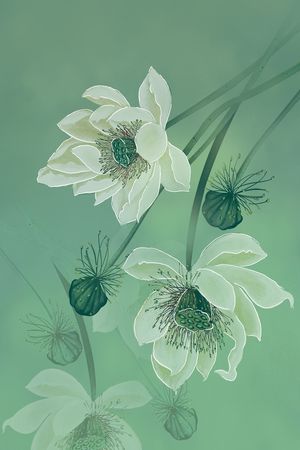 真丝印花华亿平台图片