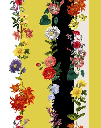 女装印花华亿平台图片