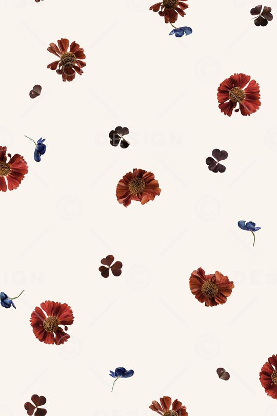 女装印花华亿平台图片