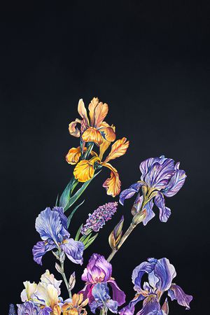 真丝印花华亿平台图片