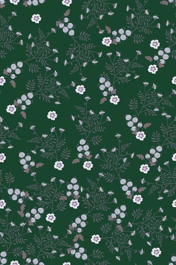 1531621-花卉20175-2