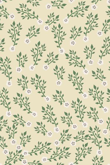 1531627-花卉20176-4