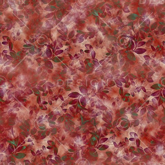 女装印花华亿平台图片