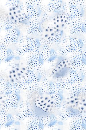 字母印花华亿平台图片