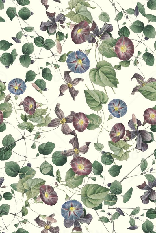 清爽印花华亿平台图片