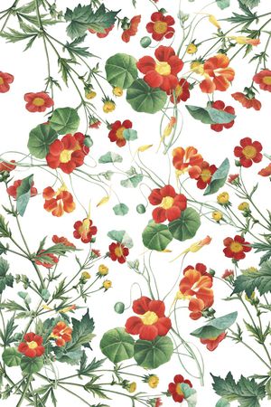 清爽印花华亿平台图片