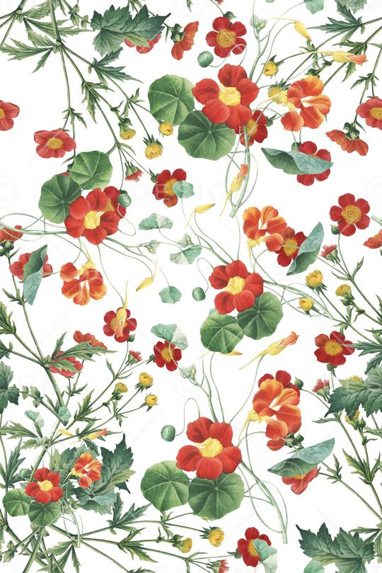 清爽印花华亿平台图片