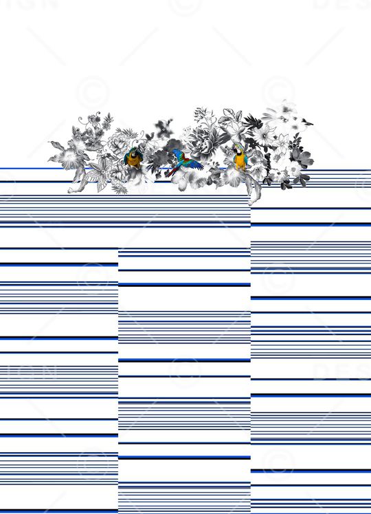 鹦鹉印花华亿平台图片