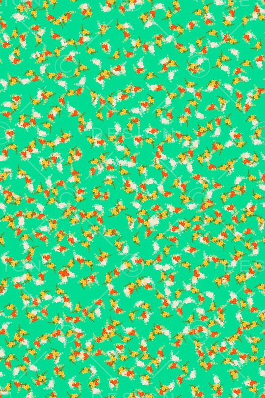 女装印花华亿平台图片