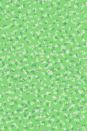 女装印花华亿平台图片