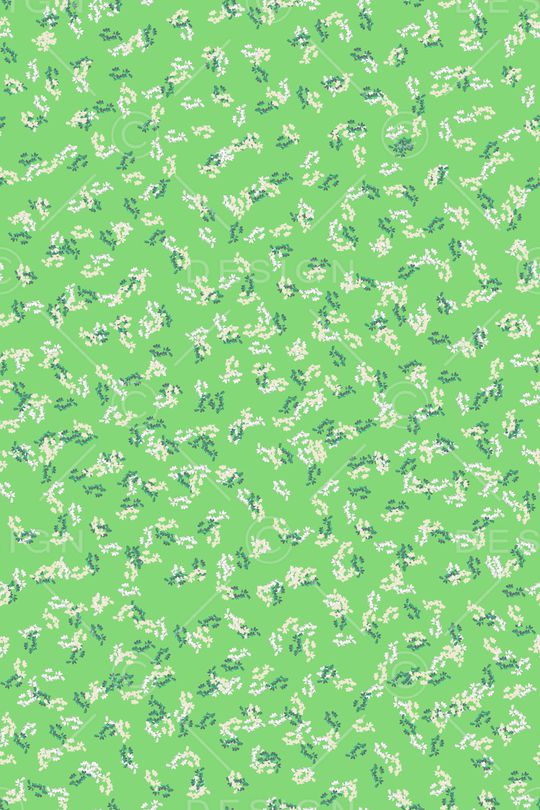 女装印花华亿平台图片