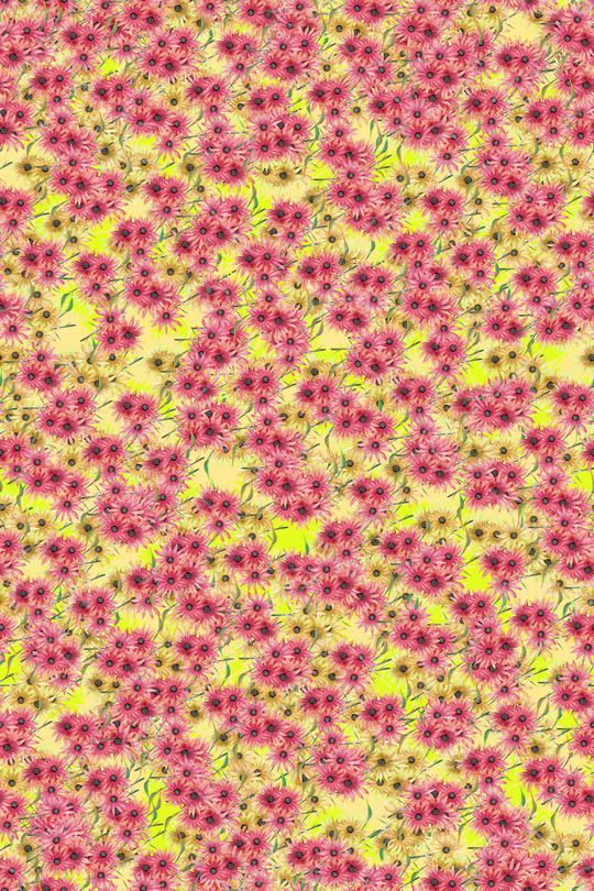 女装印花华亿平台图片