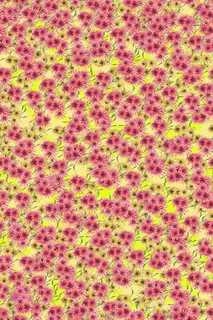 女装印花华亿平台图片