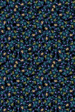 黑底花卉印花华亿平台图片