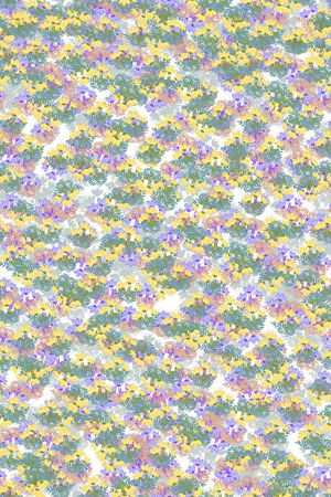 女装印花华亿平台图片