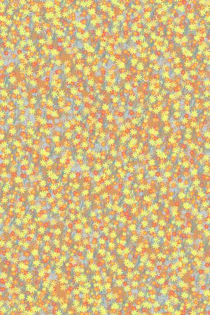 女装印花华亿平台图片