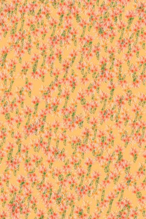 女装印花华亿平台图片