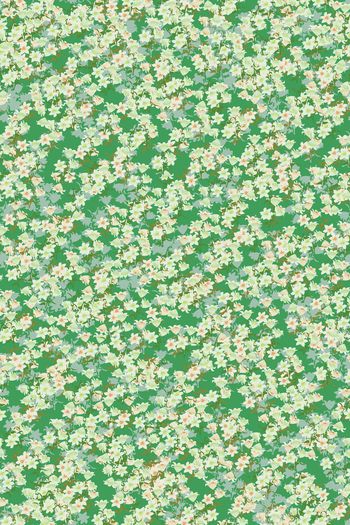 女装印花华亿平台图片