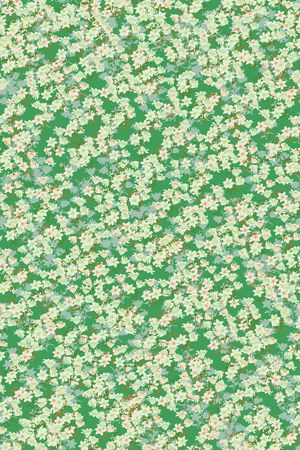 女装印花华亿平台图片