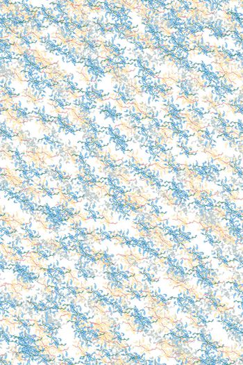 女装印花华亿平台图片