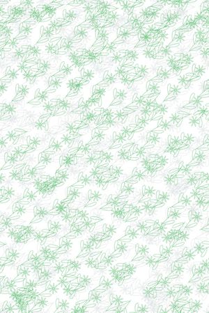 女装印花华亿平台图片