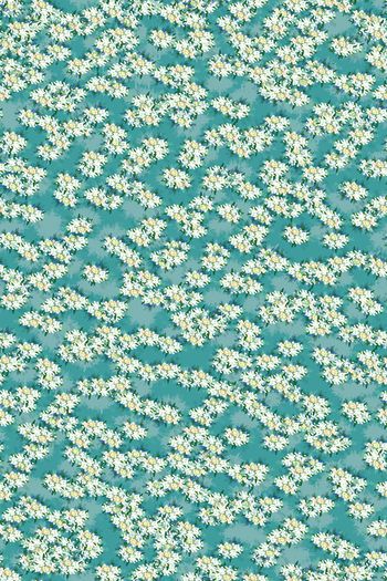 女装印花华亿平台图片