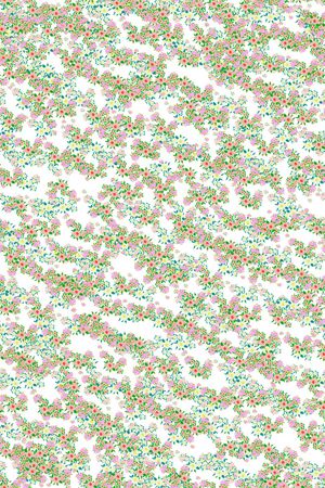 女装印花华亿平台图片