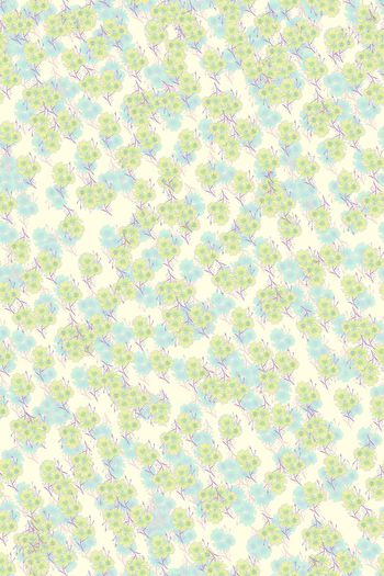 女装印花华亿平台图片