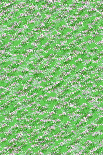 女装印花华亿平台图片