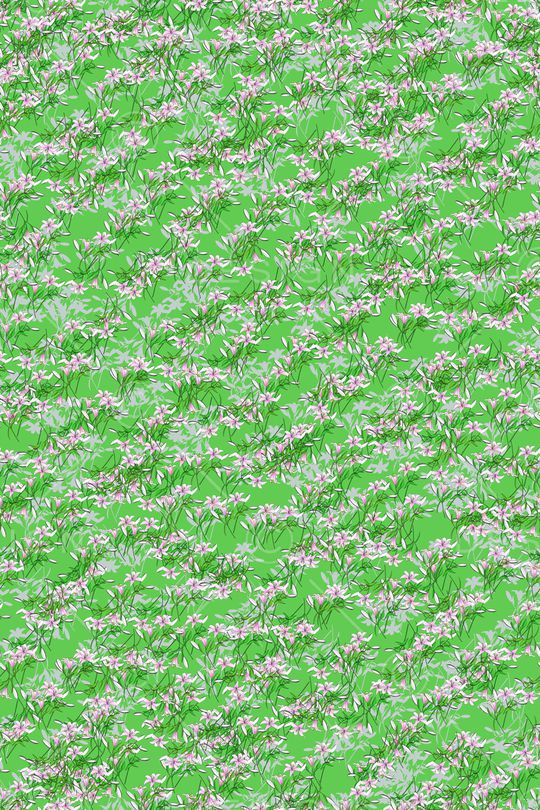 女装印花华亿平台图片