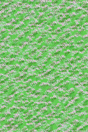 女装印花华亿平台图片