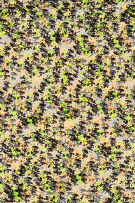 女装印花华亿平台图片