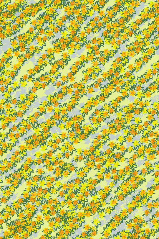 女装印花华亿平台图片