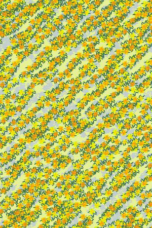 女装印花华亿平台图片