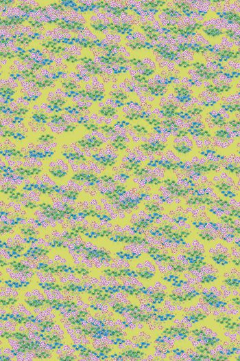 女装印花华亿平台图片