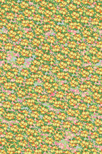 女装印花华亿平台图片