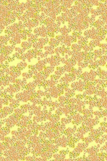 女装印花华亿平台图片