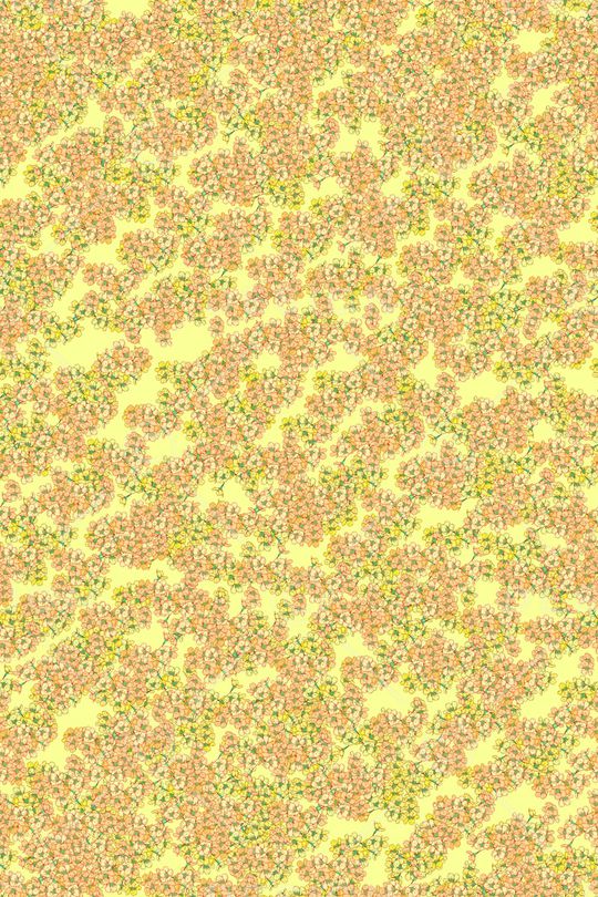 女装印花华亿平台图片